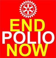 Rotary supports the End Polio Campaign by planting Crocus Corms as a symbol of Rotary's Campaign to eradicate the disease. 
